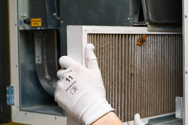 Best Residential Air Duct Cleaning  in Mulberry, IN
